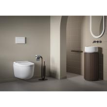 Multifunctional Wall-hung Rimless Wc Hype