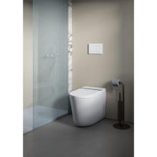 Multifunctional Back to Wall Rimless Wc Hype