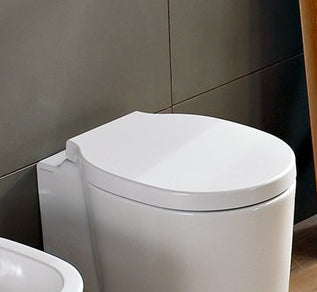 Copriwater Bucket
