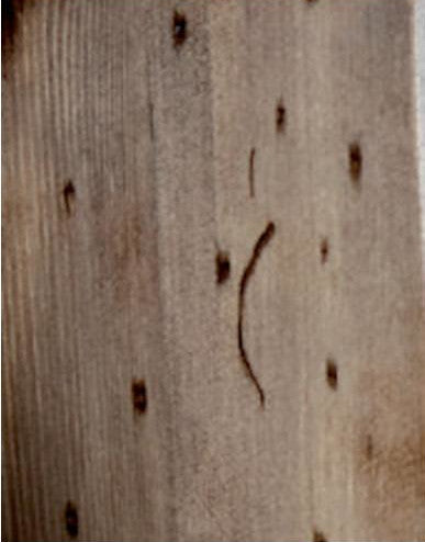 STRUTTURA DA TERRA IN LEGNO CON SPECCHIO POZZO BACILE